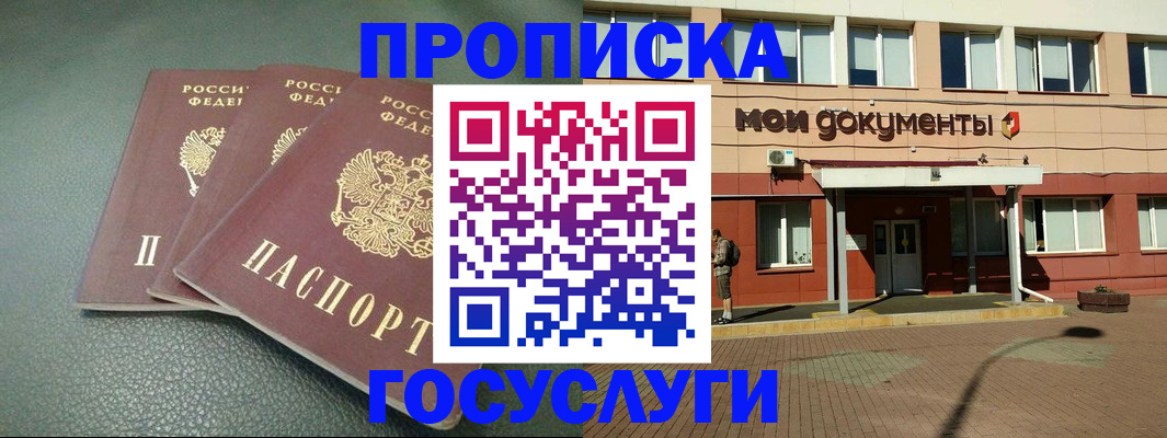 временная регистрация надежно в Камчатском крае
